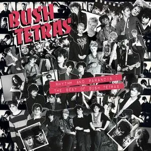 Rhythm and paranoia : the best of Bush tetras